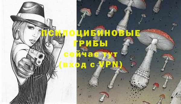 apvp Абдулино