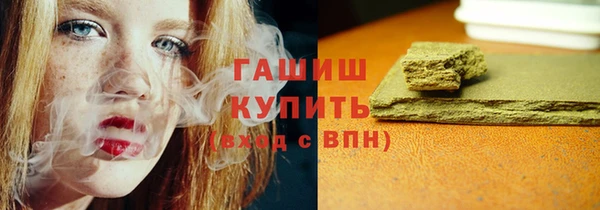 гашик Алексин