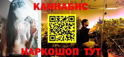 индика Дубна