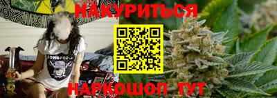 индика Дубна