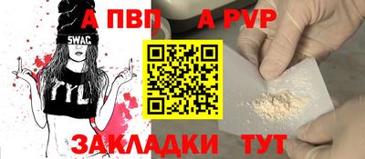 индика Дубна