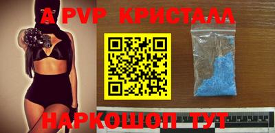 индика Дубна