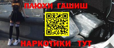 индика Дубна
