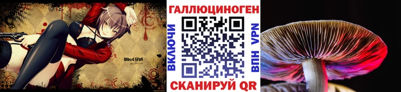 Псилоцибиновые грибы Cubensis  KRAKEN сайт  Татарск 