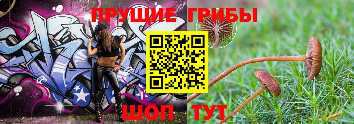 Псилоцибиновые грибы мицелий  Вход с VPN  Татарск 